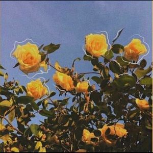 Meet your Posher, Caleb